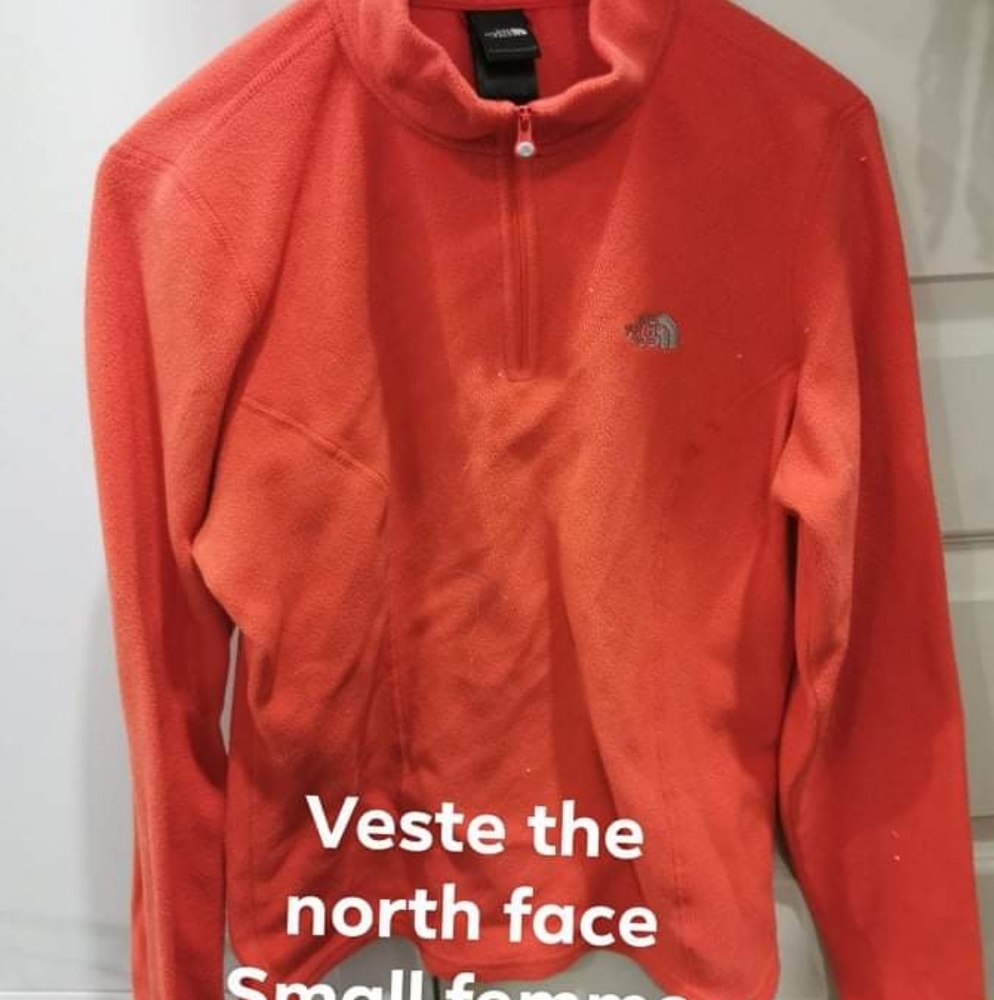 The north face fleece sweater